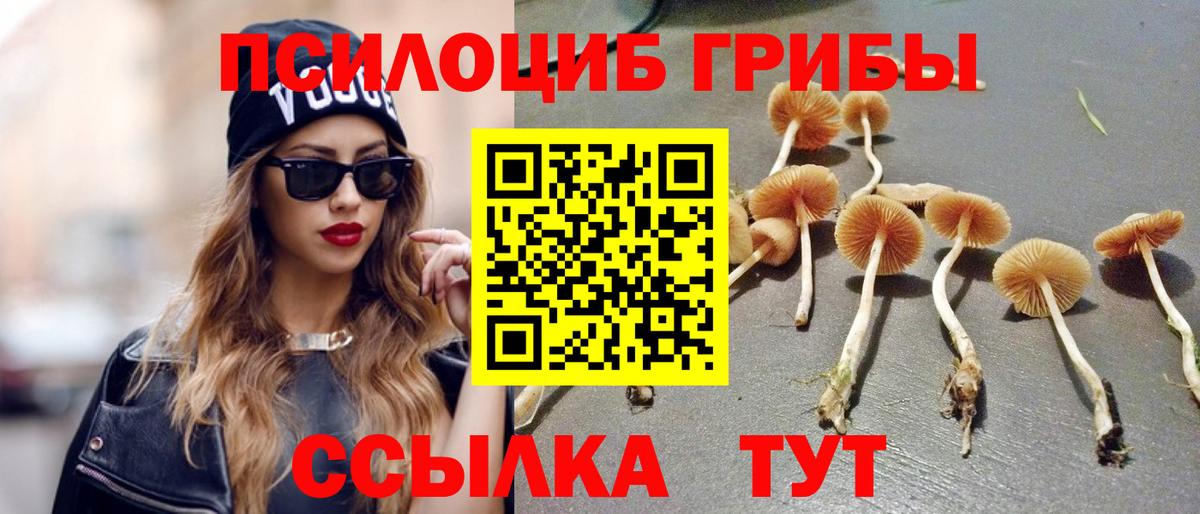 Анжеро-Судженск  Псилоцибиновые грибы ЛСД  Вход с VPN 