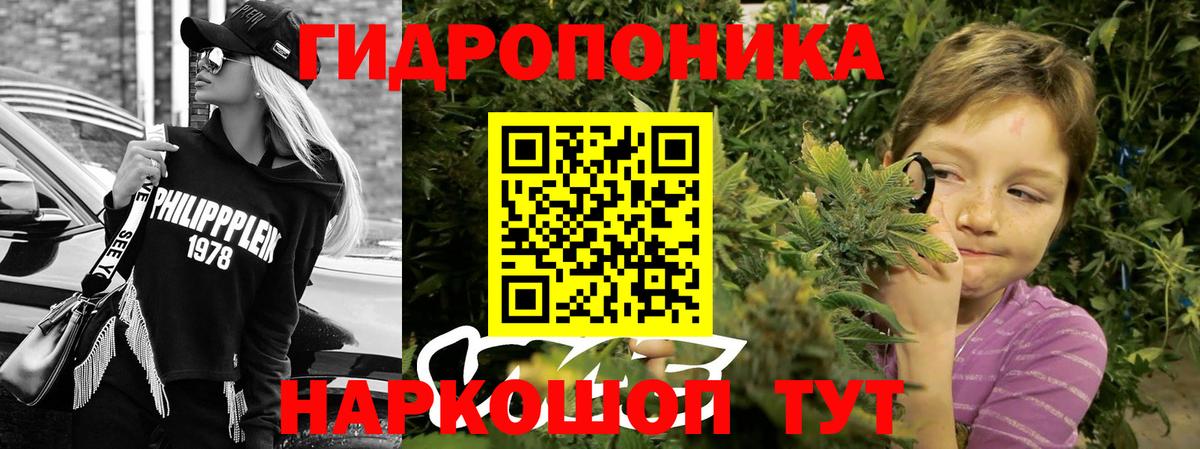 Бошки Шишки сатива Анжеро-Судженск
